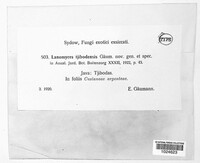 Image Associated With the Occurence